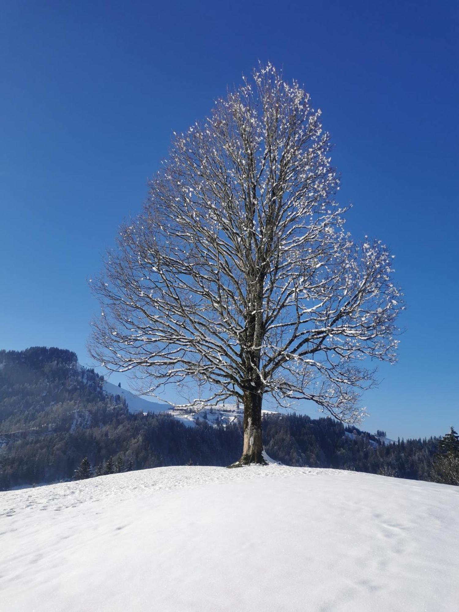 Gasthof Kreuz Marbach Esterno foto