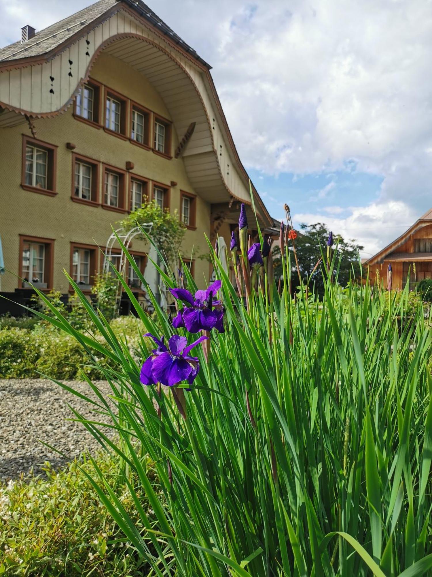 Gasthof Kreuz Marbach Esterno foto