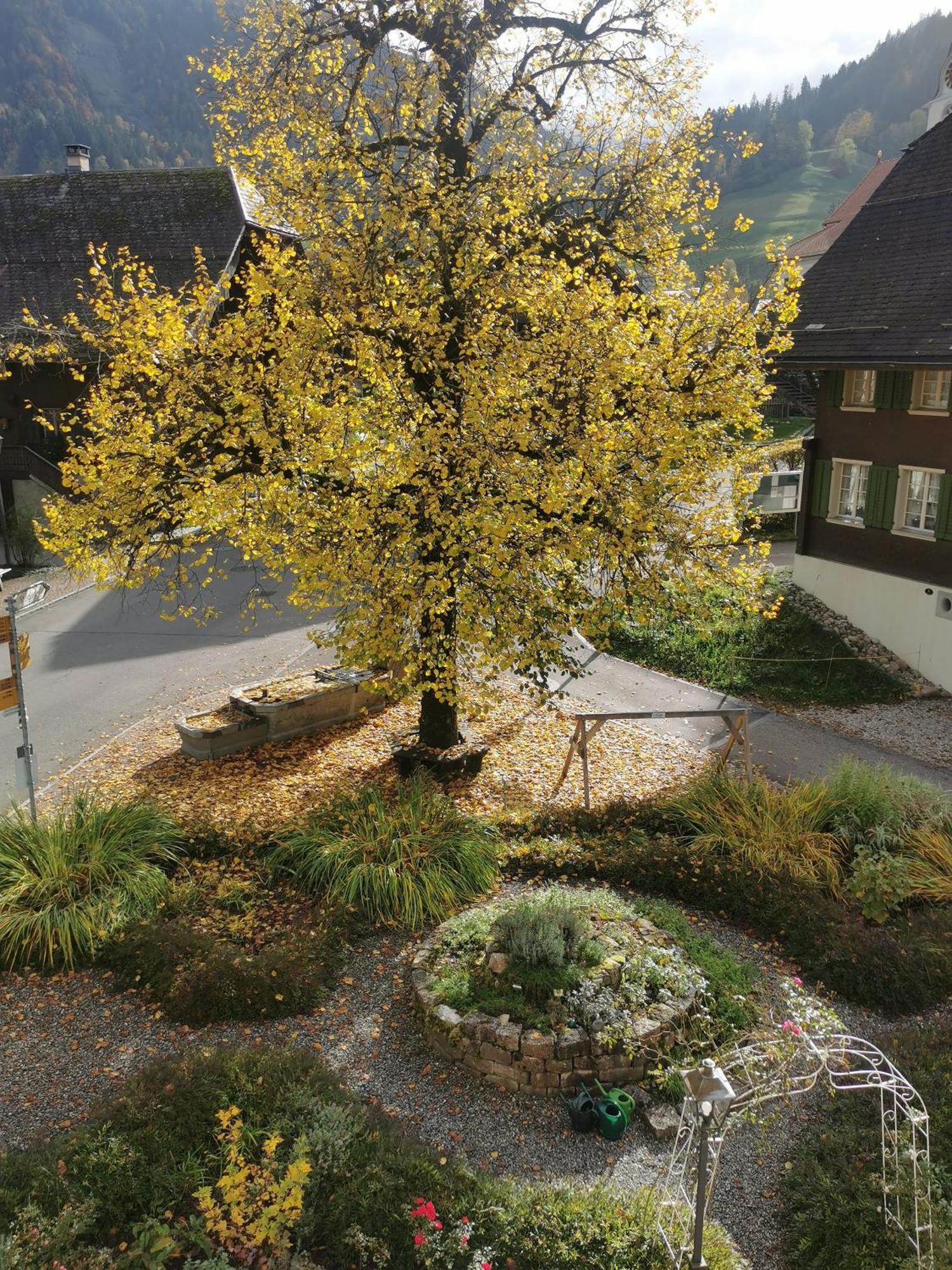 Gasthof Kreuz Marbach Esterno foto